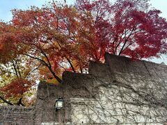 北村付近を紅葉狩り中