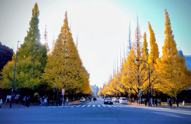 最後に今一度、<br />朝の８時30分くらいですが、人たくさんいました