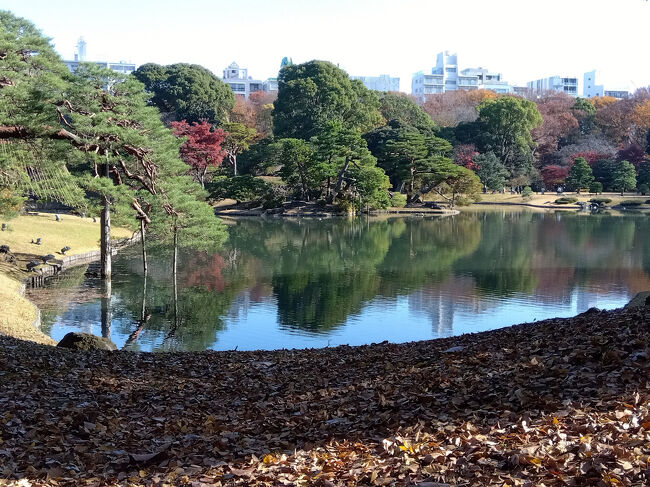 せっかくここまで来たので、<br />大名庭園 六義園（りくぎえん）にも行ってみた