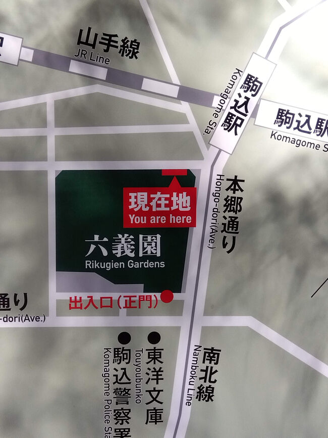 都内の庭園は、どこも駅が近くて嬉しいわ～<br />田舎じゃ移動するだけで大変！