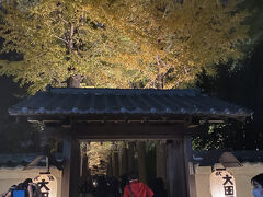 大田黒公園に着いた時にはすでに100メートル以上の行列が！！
結局30分ほど待って、ようやく中に入れました。