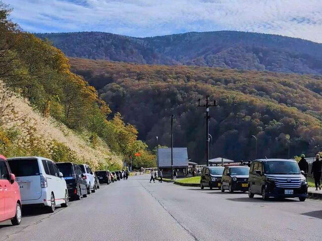 城ヶ倉大橋は紅葉の名所。<br />駐車場は満杯で、路上駐車も溢れかえっているほどでしたが、こういう時に少しの空きスペースがあれば停められるのが二輪の長所です笑