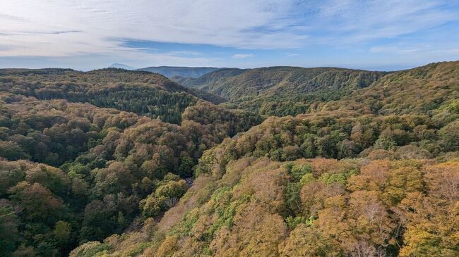 国道394号へ右折し、やってきたのは城ヶ倉大橋！<br />このように山々の紅葉を一望できます！