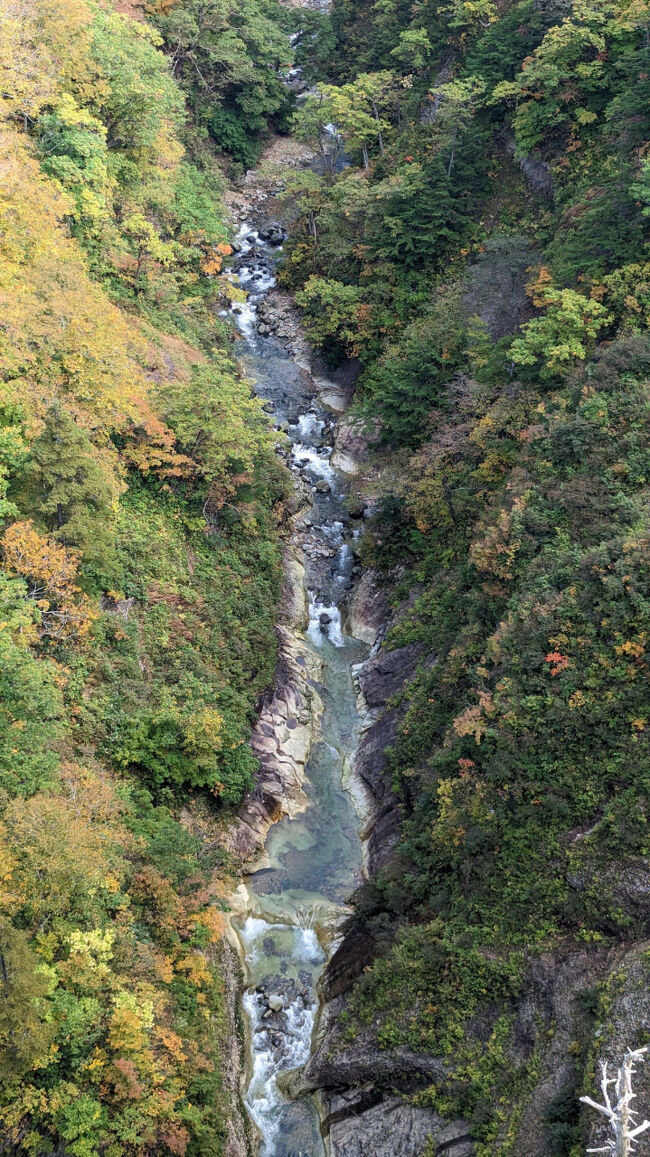 もう少し経てば、渓谷美もなかなかのものでしょう...！