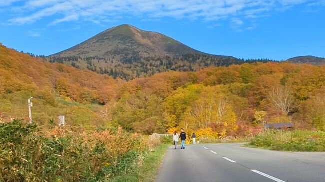 再び国道103号へ。<br />八甲田山の麓まで上ると、一層美しく色づいていました！