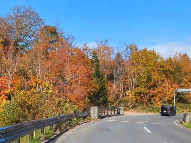 国道102号に入り、奥入瀬へと下っていきます