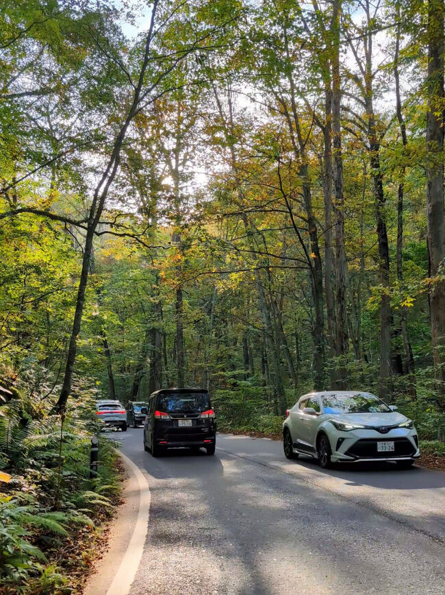 しかしここで問題発生。<br />奥入瀬渓流に沿って進む道は、山間の国道としてはびっくりの大渋滞！<br /><br />この時点で時刻は15時過ぎ。この先の行程が危ぶまれます...