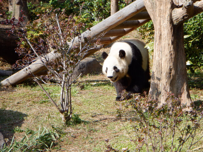 こっちに向かってきてくれました！