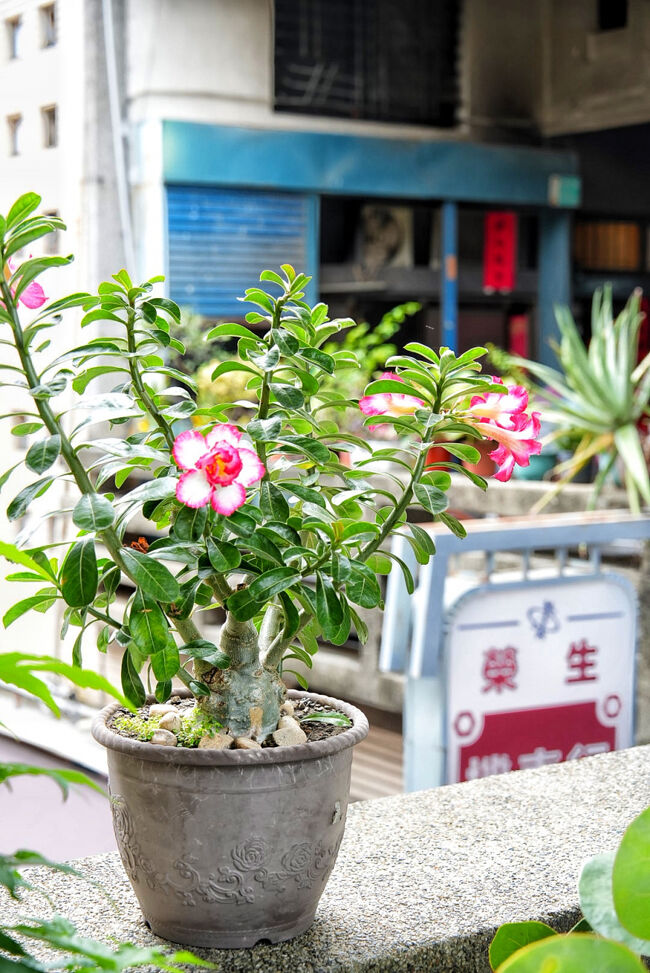 なんかちょっと素敵な雰囲気