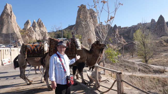 奇岩とラクダ…<br />ラクダは少し汚れ気味<br />