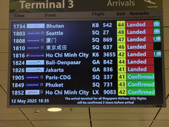 シンガポール チャンギ国際空港 (SIN)