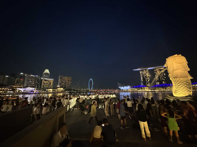 ホテル群、シンガポールフライヤー、マリーナベイ・サンズ、マーライオン。<br />夜景を満喫して空港に戻ります。