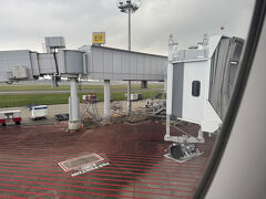 シンガポール チャンギ国際空港 (SIN)