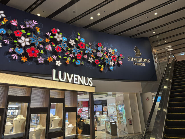 22:06　本日のお宿。シルバークリスラウンジ（T3）