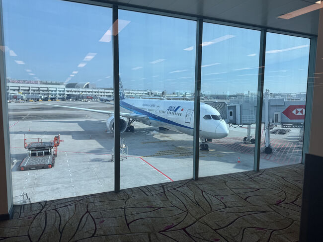 E12の羽田行きNH842。