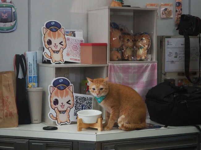 出勤の様子見られるかな？と早く来たけど、もう出勤されてたヾ(≧▽≦)ﾉ<br /><br />まだご飯食べてるから待ってニャって言ってるみたい