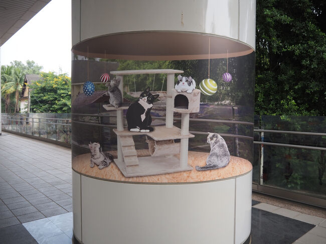 柱に描かれたアート、周りの風景を絵に取り込んで、<br />透明ガラスの中に猫がいるように描かれてる