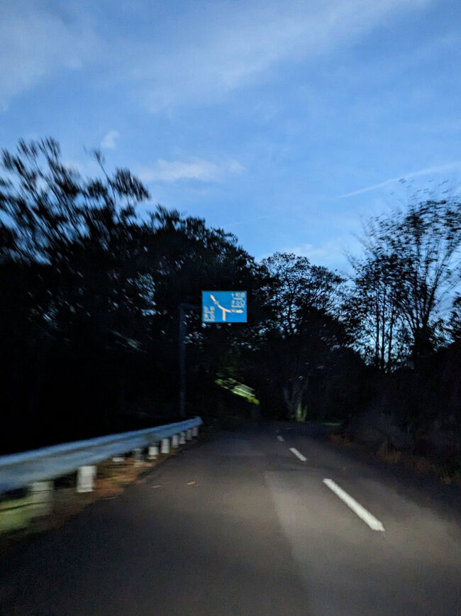 日が暮れるにつれ、空はまだ明るくとも木々の間は真っ暗になっていきます