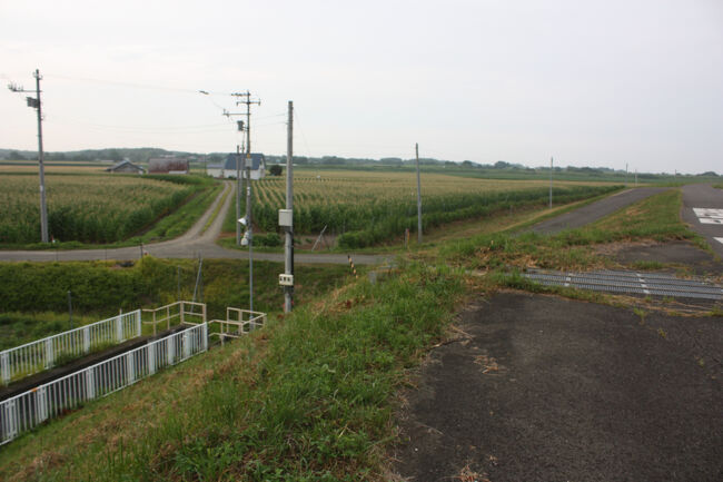 勇払郡むかわ町宮戸。<br />土手上の道から下に降り、奥の方に続いている道を進みます。<br />ここまでおよそ２５分ほどでした。