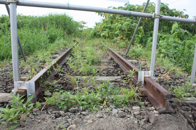 チンタ浜踏切跡。<br />こちらの線路も同様です。