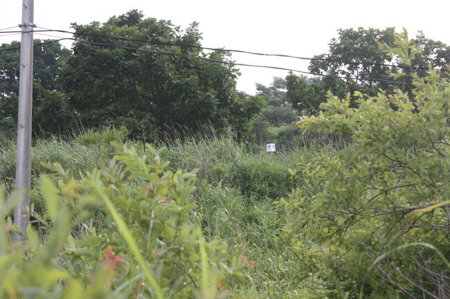 勇払郡むかわ町汐見。<br />チンタ浜踏切跡を過ぎた後は、日高本線の線路跡に沿って進んでいきました。<br />距離標が見えました。