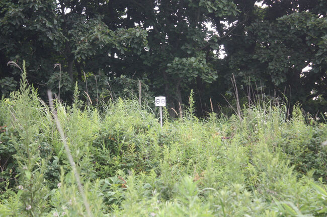 勇払郡むかわ町汐見。<br />また距離標がありました。