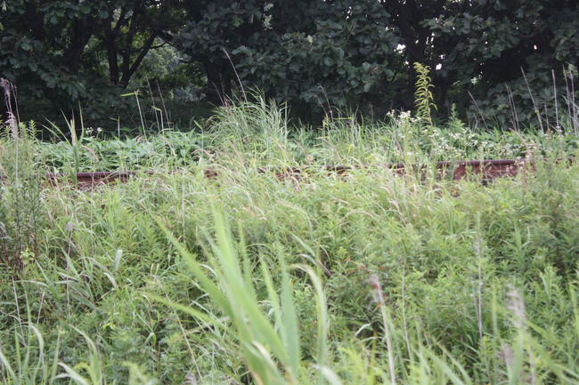 勇払郡むかわ町汐見。<br />線路が見えました。