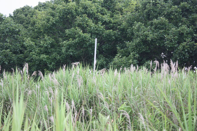 勇払郡むかわ町汐見。<br />これも標識でしょうか。