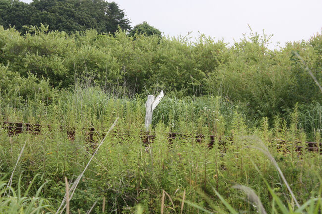 勇払郡むかわ町汐見。<br />上の勾配標の反対側です。