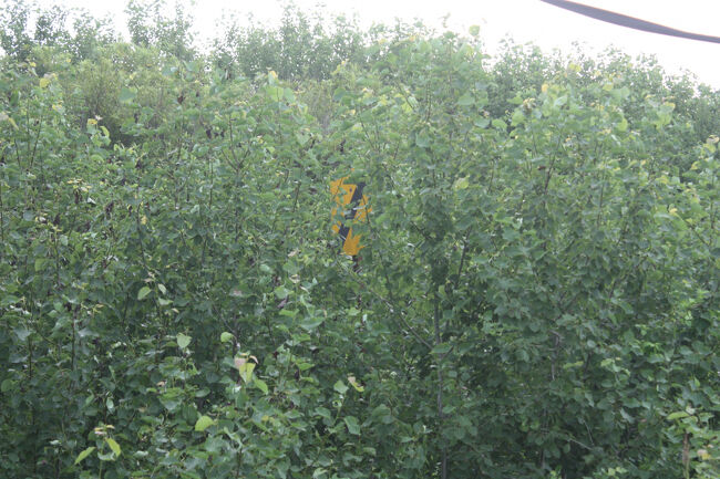 勇払郡むかわ町汐見。<br />駅接近標がありました。