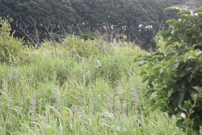 勇払郡むかわ町汐見。<br />距離標がまたありました。