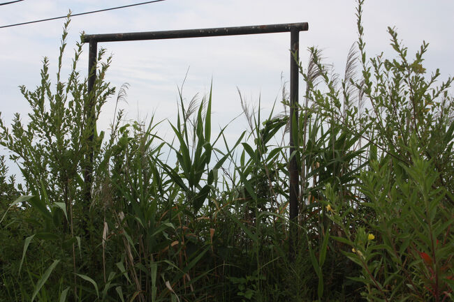 勇払郡むかわ町汐見。<br />こちらは、駅名標の枠です。