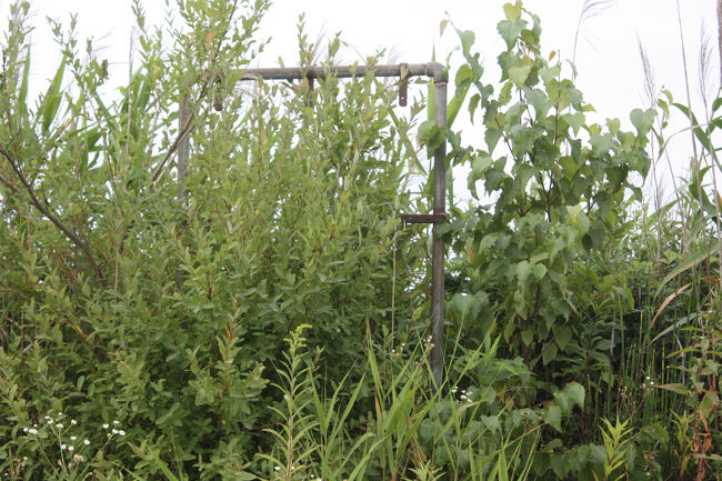 勇払郡むかわ町汐見。<br />こちらは、おそらく名所案内の枠と思われます。<br />初めて汐見駅を見た、２０１７年の７月の時点で、すでに枠だけでした。