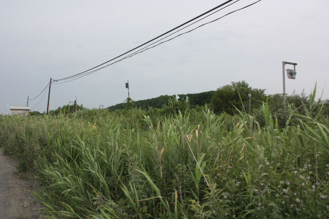 勇払郡むかわ町汐見。<br />線路沿いの道を、富川側のホームの端の辺りまで移動しました。<br />ホーム全体と待合室を入れて撮りました。