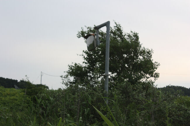 勇払郡むかわ町汐見。<br />富川側のミラーです。