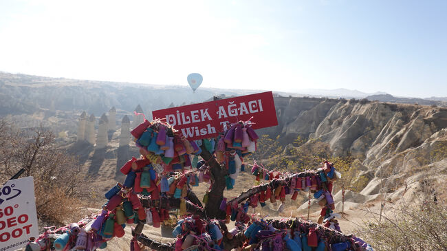 願掛けオブジェ？！<br />　　少し隠れているが、"WISH TRUE"かな…<br />