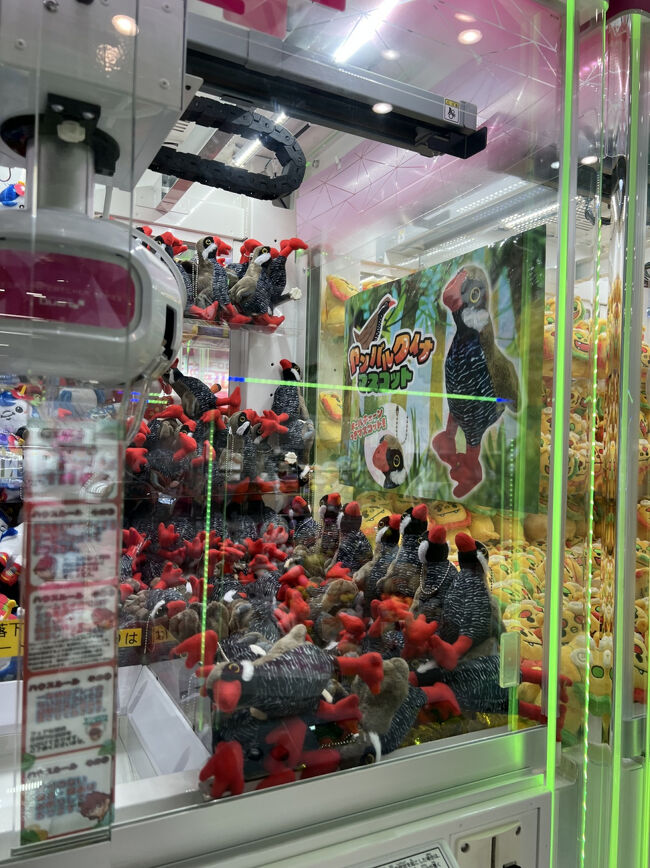 チャレンジしたけど・・・取れなかった(￣∇￣)