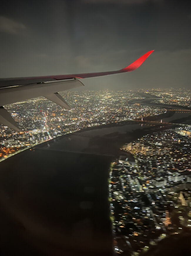 20:20<br />大阪上空<br /><br />20:30に到着しました、予定では20:00着だったので30分遅れでした。友達はリムジンバスで新大阪へ向かうのでめちゃくちゃ焦ってました～荷物受け取って先に空港出ました～<br /><br /><br />私の荷物は最後の方に出てきたので受け取ったのが21:00でした、やれやれ(￣∇￣)モノレールで帰りました。<br /><br />2泊ってあっという間！でしたが、ちゃっかり行きたいところへ行けたので良い旅でした。またマイルが貯まったら行きまーす。<br /><br /><br />※後半は長くなりましてすみません∑(ﾟДﾟ)<br /><br />ご覧いただきありがとうございました(^^)<br />