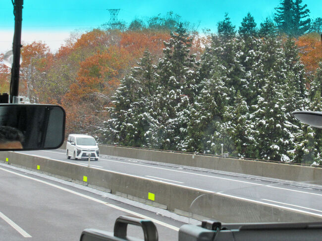 紅葉と雪が楽しめるなんて、ラッキー！