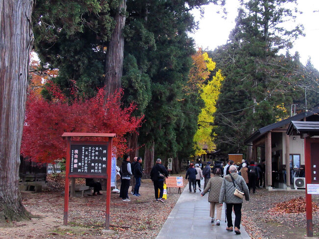 紅葉も鮮やか。
