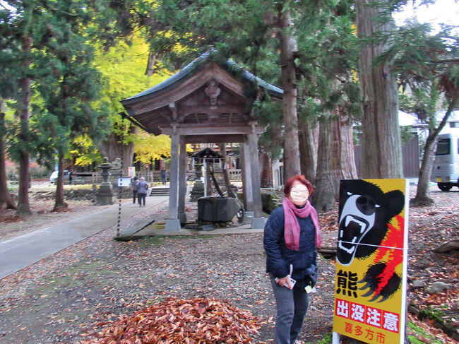 『熊　出没注意！！』・・・大イチョウが見頃の時期にはライトアップが行われ、幻想的な雰囲気を醸し出しますが、近隣地域で熊の目撃情報があったため、今年度は中止。