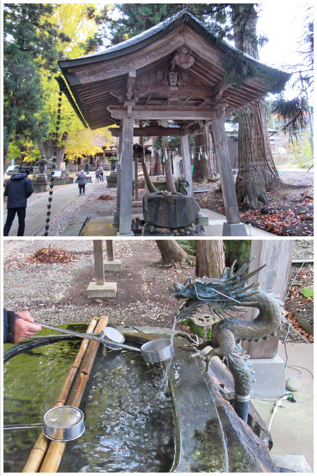 手水舎・・・その先には大イチョウが見えます。