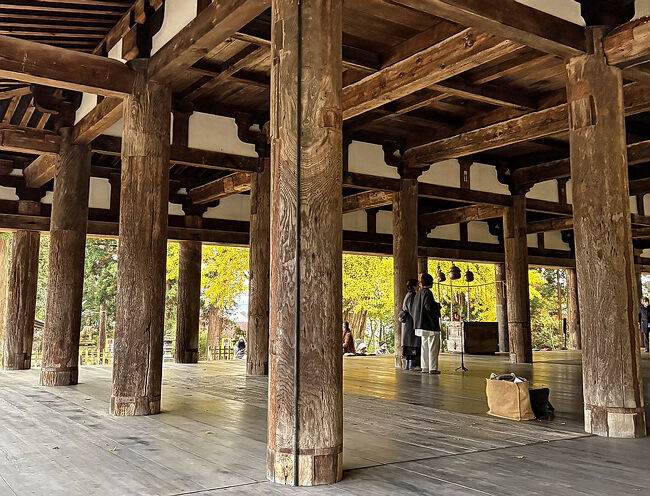 柱が並ぶ様子は圧巻・・・こんな拝殿は初めてですね。<br />壁がないので、大イチョウも柱の間からよく見えます。