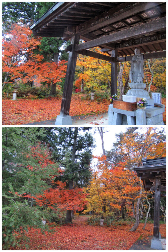 水子地蔵尊の周りには、見事な紅葉。