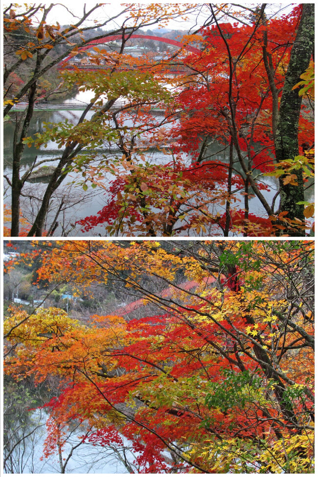 赤べこと素晴らしい紅葉・・・記憶に残る圓蔵寺でした。