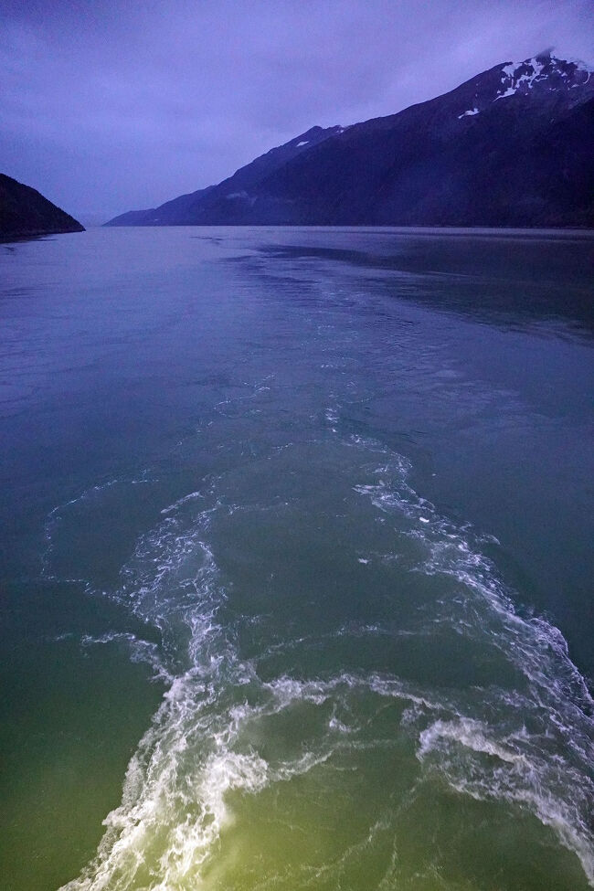 今回のキャビンは最後尾に近い部分の比較的安価なカテゴリーでしたが、逆に船尾のデッキに出ることが安易なので、後方の風景を楽しむことが出来ます。細い水路を航行していたことが良く分かります。