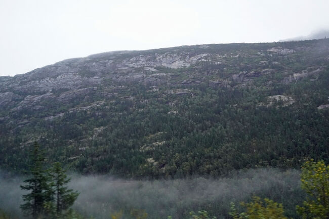 小学生の頃に父の書棚にあったこの本を初めて手に取って、読み進めるとその面白さに心惹かれました。父や母が読むようなジャンルの本ではなく、一緒にあった「時計仕掛けのオレンジ（A Clockwork Orange）」と共に母の妹が置いて行ったのだと思っていました。