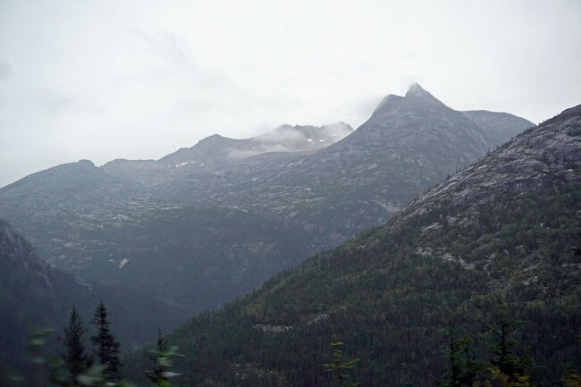 飼い犬であったバックはカリフォルニア州ののどかな屋敷から誘拐され、そり犬として売られて苛酷な運命にさらされます。バックがその環境変化の中で人間や他の犬とかかわり方を学び、極寒の自然の中で生き残る戦いを描いています。彼は本能に頼り尊敬され恐れられるリーダーとなり、最後の飼い主が死亡した後に文明を完全に捨てて狼の群れに合流し、インディアンに幽霊犬と呼ばれ恐れられる存在となります。
