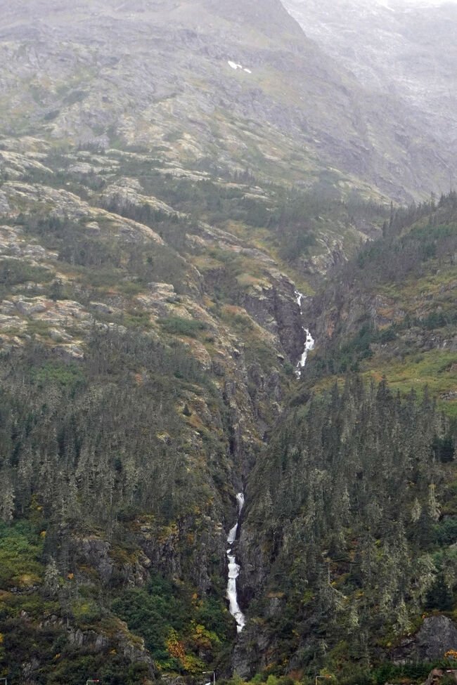 2020年のハリソン・フォード主演の「野性の呼び声」を懐かしく観た記憶がありますが、それよりも50年以上前の記憶がここへきて思い出されました。