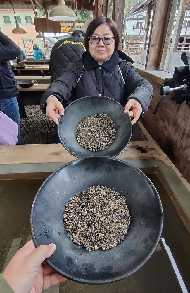 最初はこんな感じで砂利の混ざったものがパンニング皿に入っています。